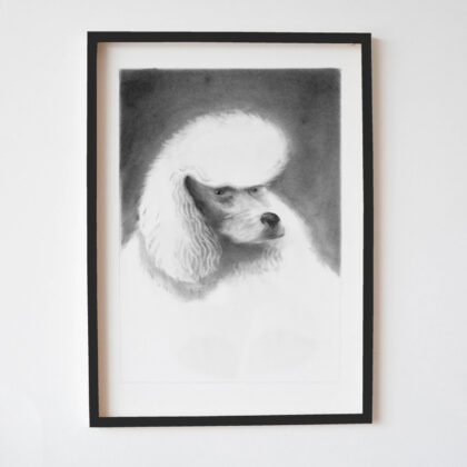 White Poodle Art Print