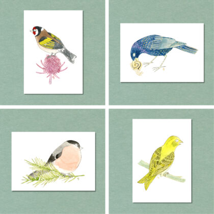 Songbird Postcard Set No.1