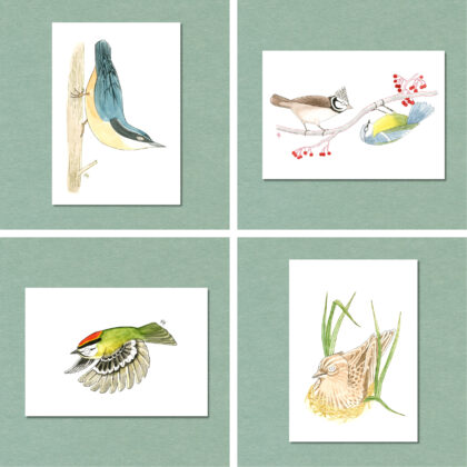 Songbird Postcard Set No.2