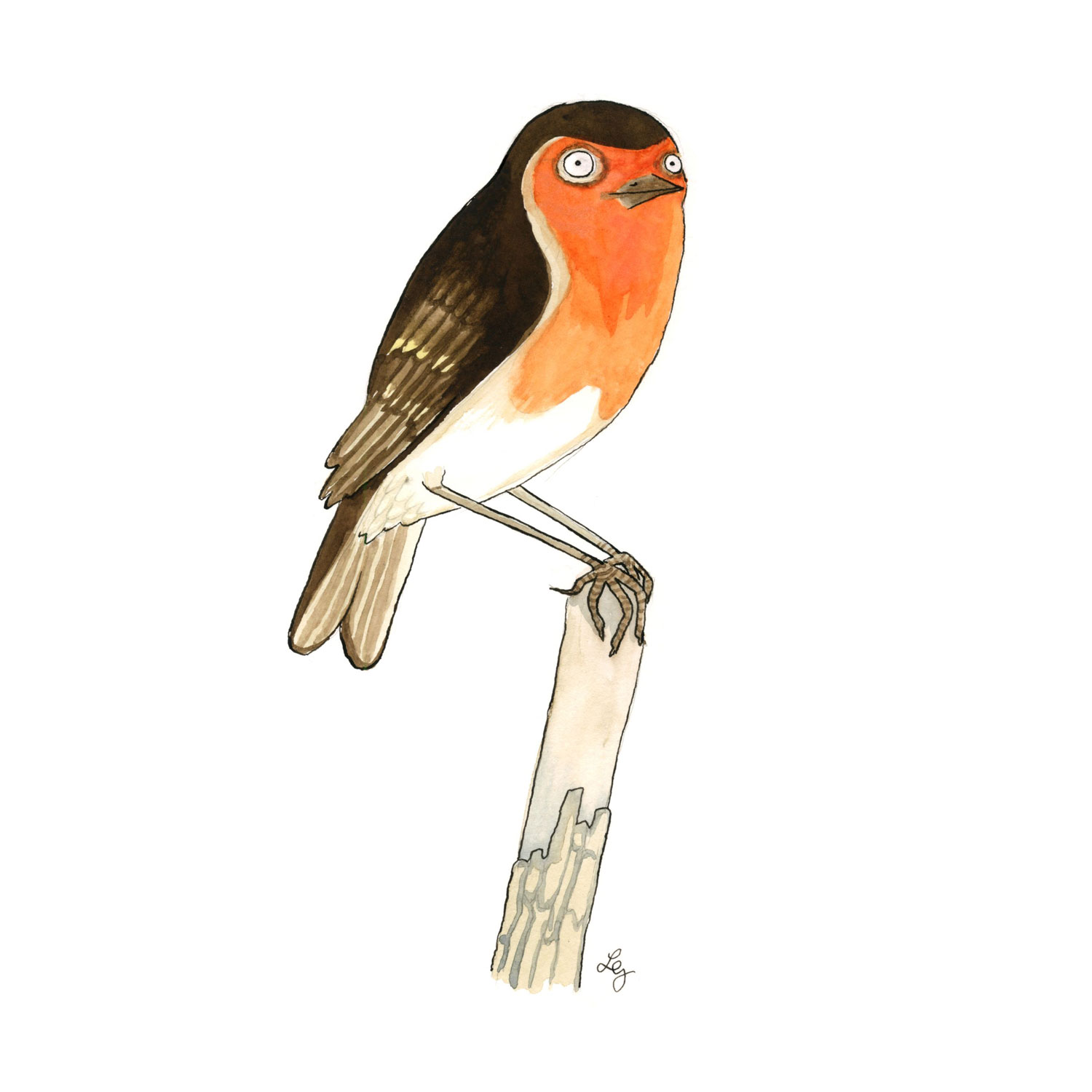 Red Robbin Postcard - Image 2