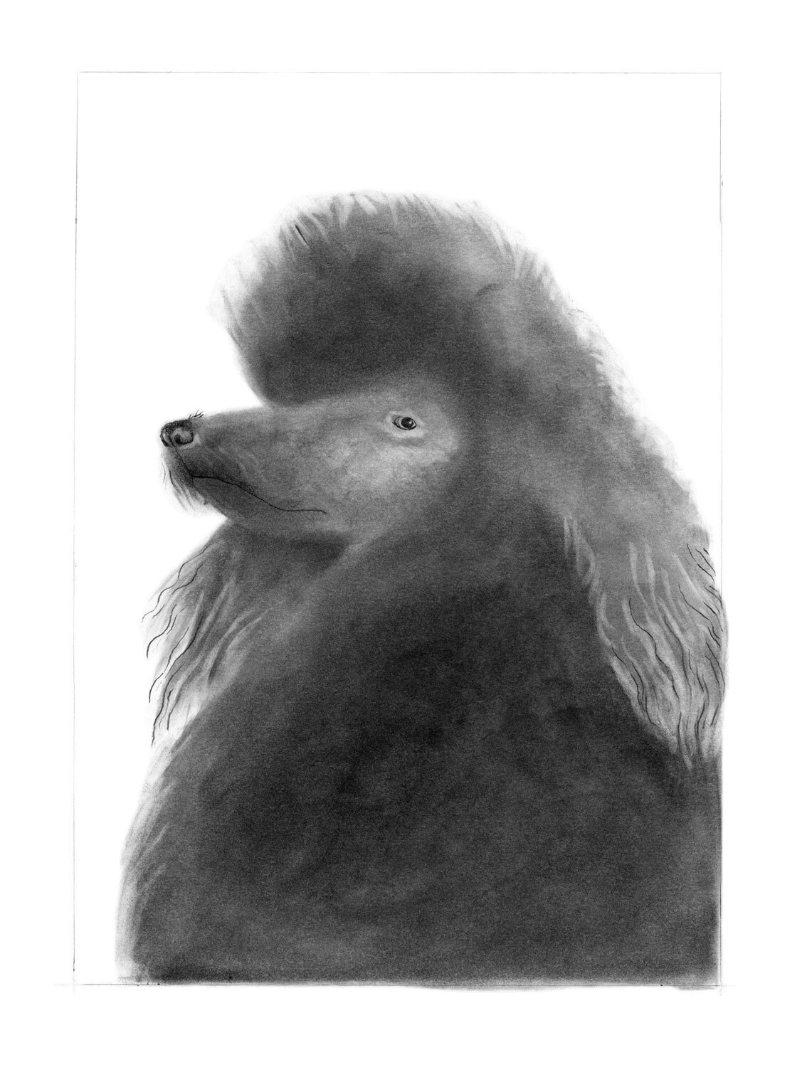 Black Poodle Postcard - Image 2