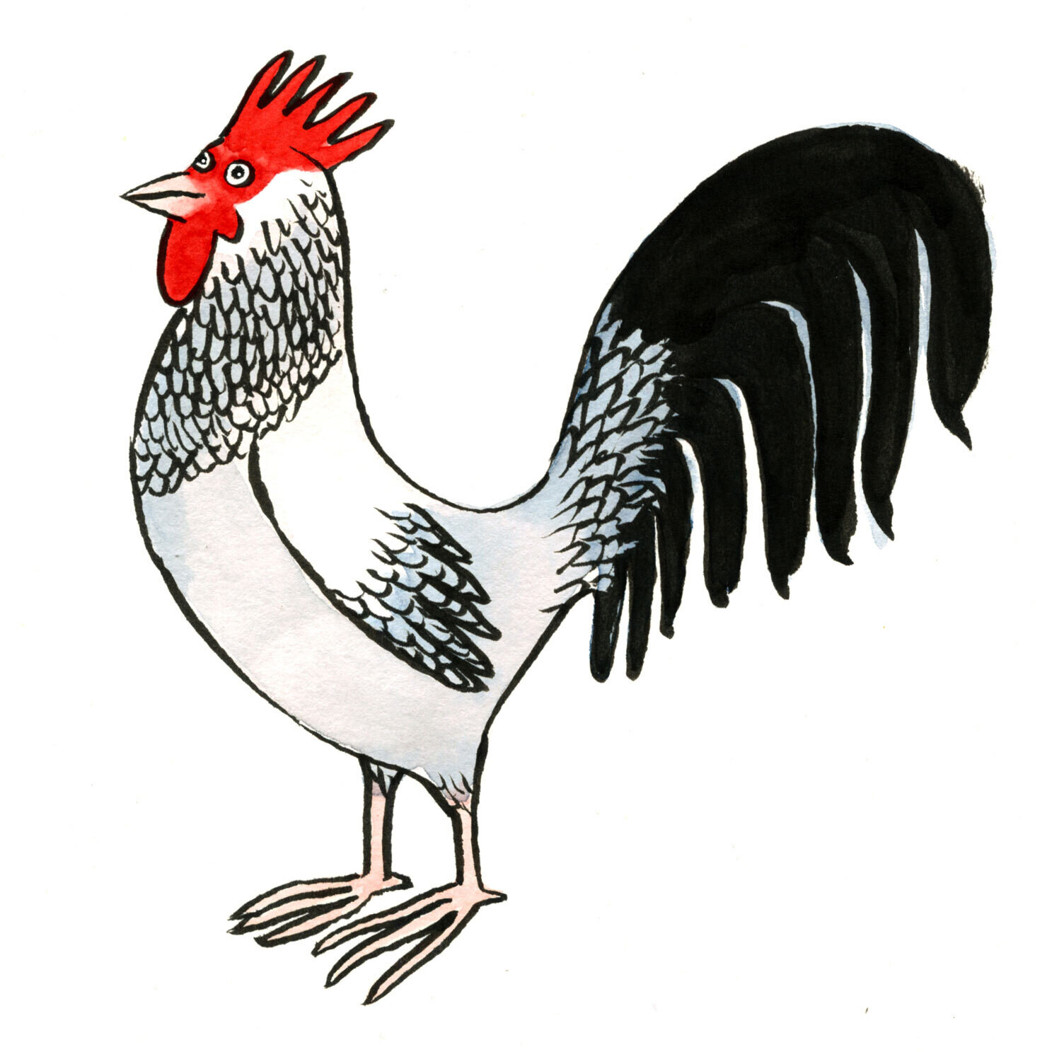 Rooster Greeting Card - Image 2