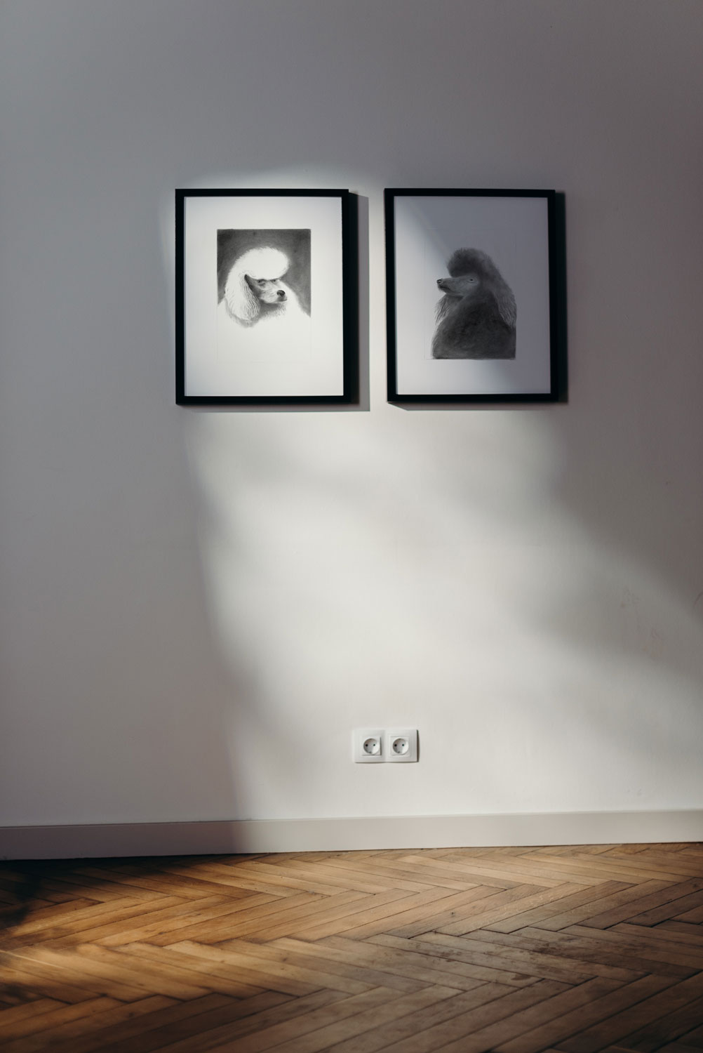 Black Poodle Art Print - Image 3