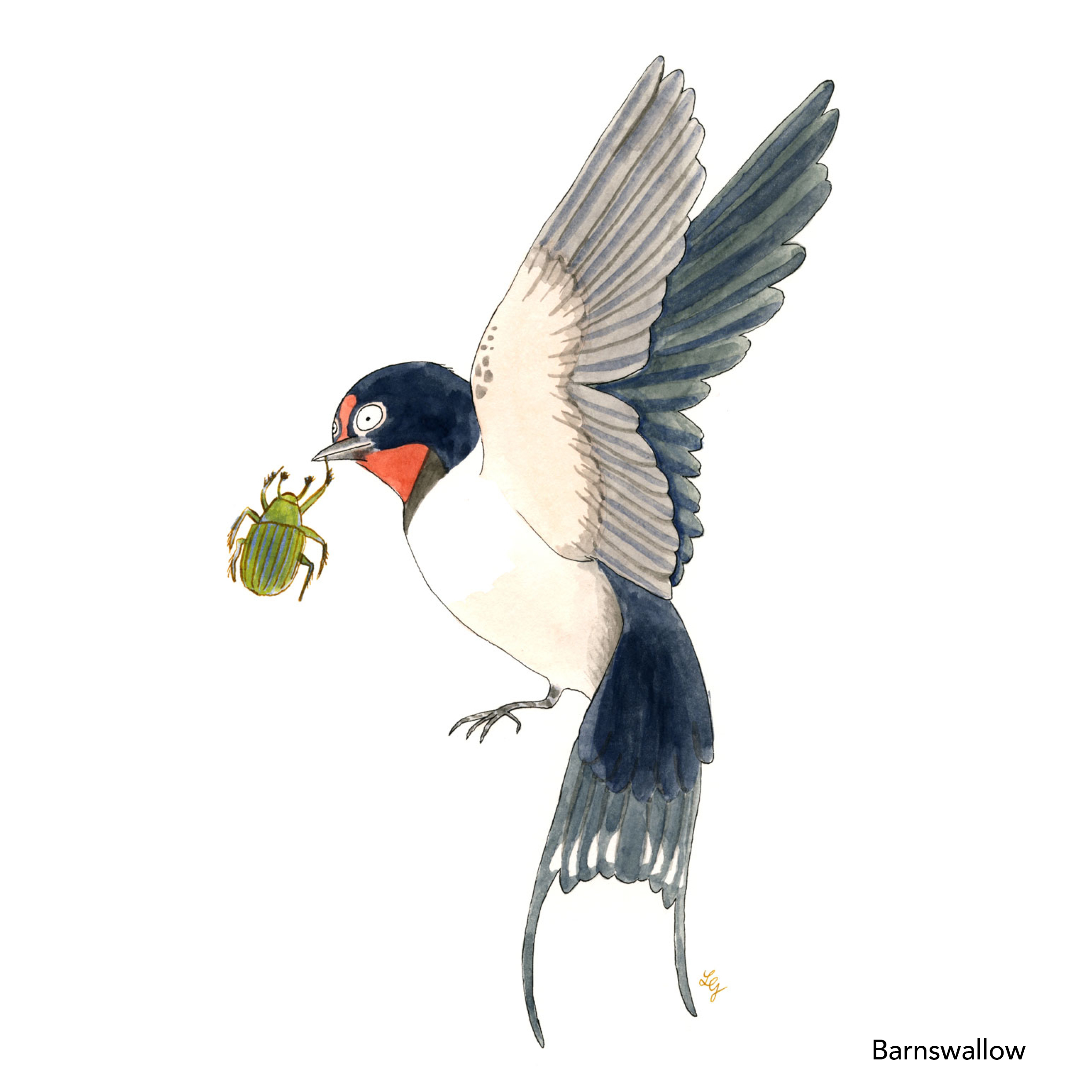 Songbird Postcard Set No.3 - Image 2