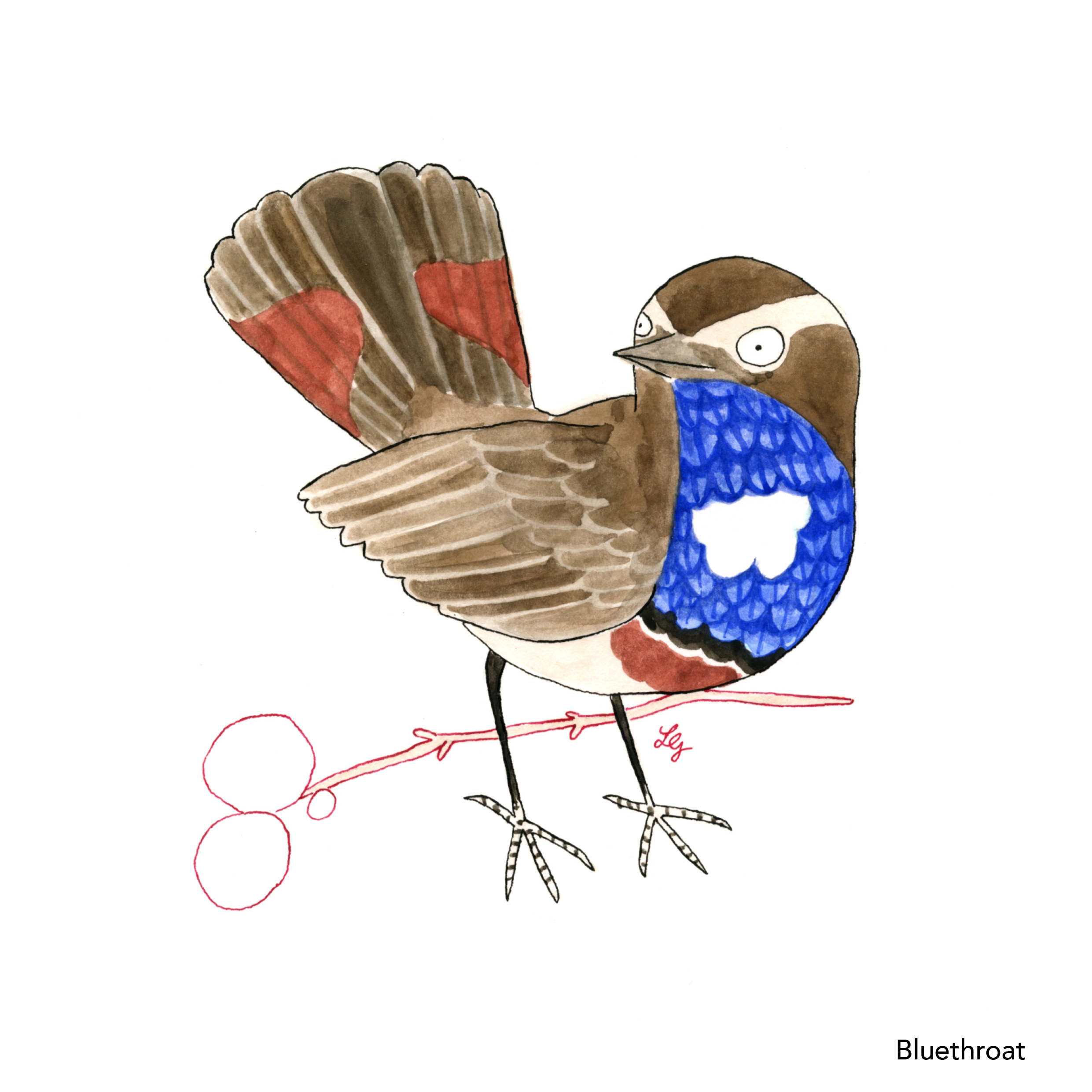 Songbird Postcard Set No.3 - Image 5