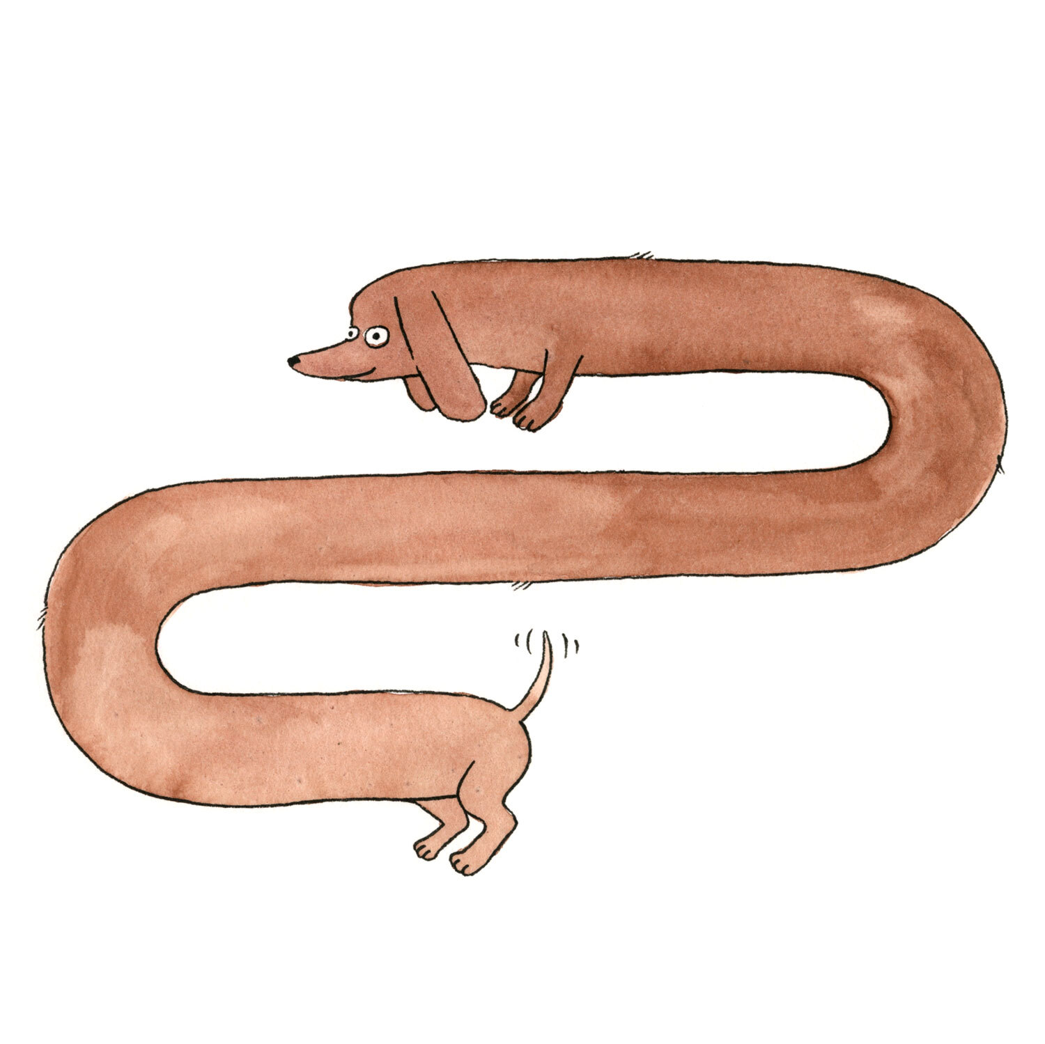 Dachshund Greeting Card - Image 3
